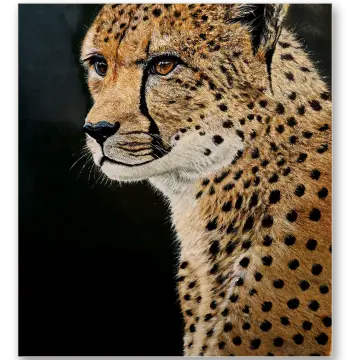 The Savannah Sprinter: Royal Cheetah