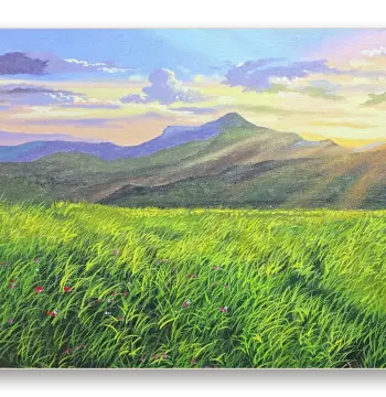 Golden Horizons: Sunlit Valley & Meadow Scenery